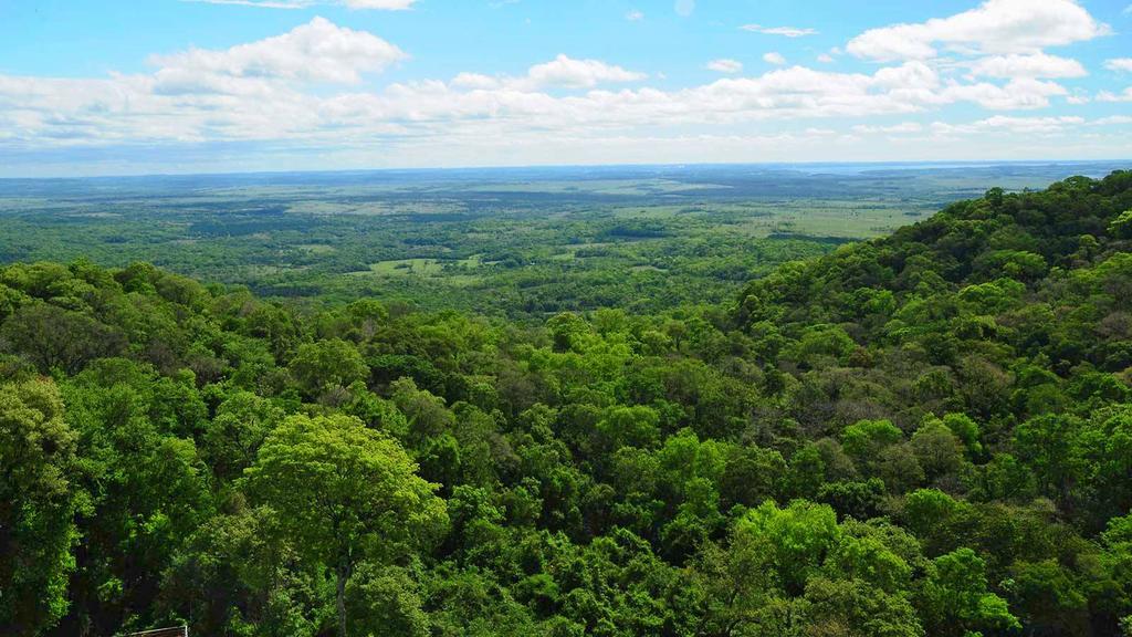 Posada Del Chaman Iguazu Puerto Iguazú Exteriér fotografie